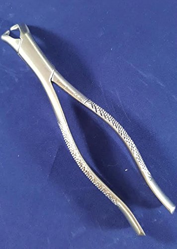 Miniatura 2 de Nuevo diente dental de grado premium EXTRACTOR Fórceps NO 23 Cuerno de vaca Molar inferior Acero inoxidable alemán