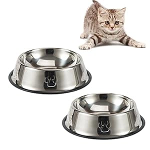 Cat Feeding Bowl,Kitten Bowls,Non-Slip Stainless Steel Pet Bowls Set of 2,Metal Cat Bowls Suitable for Cat Water Bowl & Food Bowl Drop-proof and Easy to Clean Cat Bowl Dish
