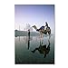 Camels 2 by Robert Harding Picture Library, 22x32-Inch Canvas Wall Art