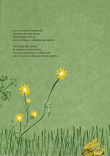 L'avventura Di Nascere. Così Nasco Io, Così Sei Nato Tu. Ediz. A Colori - 6