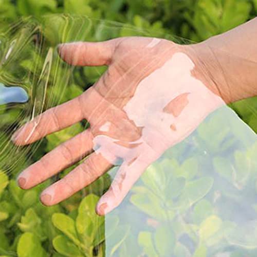 Lona de PVC transparente resistente con aislamiento plástico para jardín 6