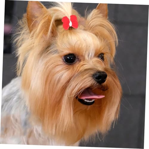 SEWOART 20 Stück Kleine Hundehaarschleifen Mit Gummiband Widerstandsfähiges Pflegezubehör Aus Leichtem Material Für Welpen Festliche Haar Accessoires Für Kleine Hunde