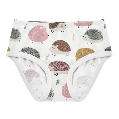Wusikd Cute Hedgehogs Girls' Underwear Cotton Girls Briefs Soft Toddler Underwear 2T