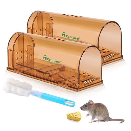 Humane Mouse Traps, Easy to Set, Kids/Pets Safe, Reusable for Indoor/Outdoor use, for Small Rodent/Voles/Hamsters/Moles Catcher That Works. CaptSure Original 2 Pack (Small)