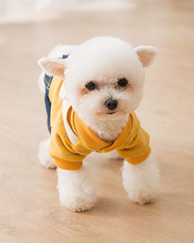 Ropa para perros Sweatshirt y Jeans MilTrees amarillo miniatura 3