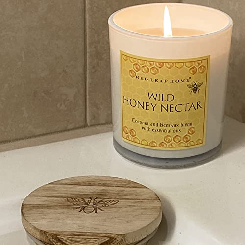 Red Leaf Home | Wild Honey Nectar Candle, Large | Honeycomb Collection, Aromatherapy, Gift | 15Oz Jar #TOP2