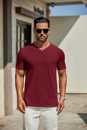 COOFANDY Men's T Shirts Short Sleeve Classic V Neck Casual Summer Basic Tee - Image 3