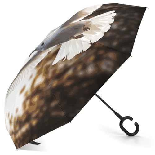 Parapluie inversé White Dove coupe-vent et automatique pour la voiture