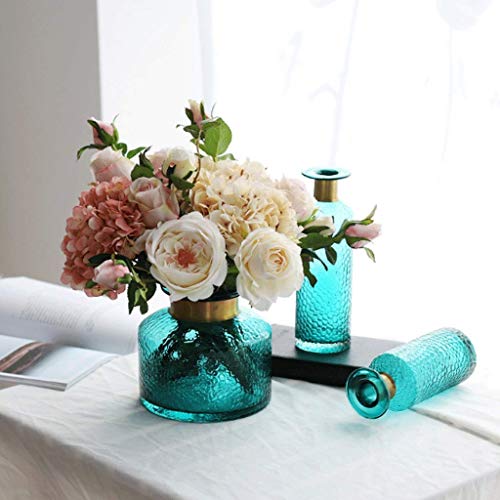 Vases transparents fleurs hydro pour une décoration de salon zen - 6