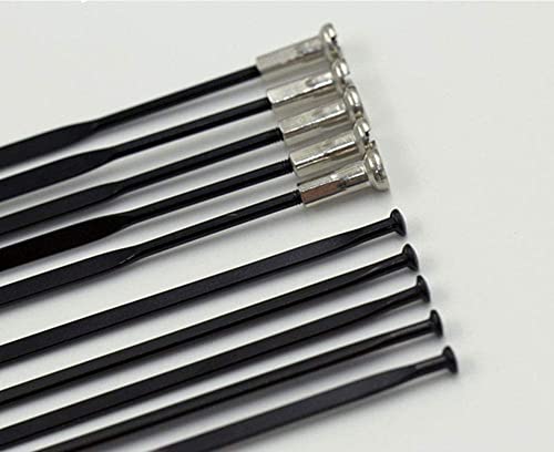 BIKECO 20 raggi per bicicletta Mountain Road Bike