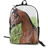 Material: Polyester Material Schulrucksack Leichter und robuster Tagesrucksack