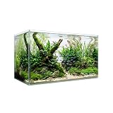 10 Gallon Glass Fish Tank, Nano Aquarium Fish Tank, Rimless Low Iron Aquarium for Betta/Turtle/Goldfish/Snails/Shrimp and Aquatic Planting