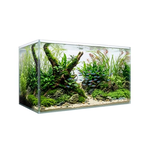 10 Gallon Glass Fish Tank Nano Aquarium Fish Tank Rimless Low Iron Aquarium for Betta/Turtle/Goldfish/Snails/Shrimp and Aquatic Planting
