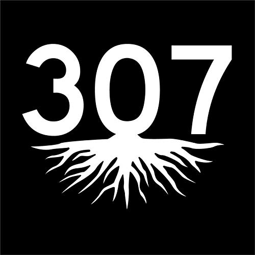 JMM Industries 307 Roots Wyoming Area Code WY Vinyl Decal Sticker White CarWindow Bumper 2-Pack Premium Quality UV Resistant Laminate ACS0274