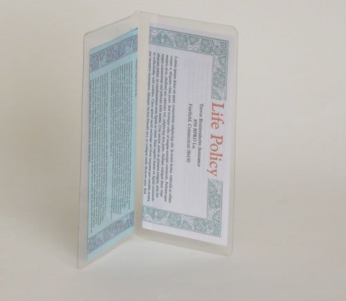 StoreSMART® - Brochure & Policy Holder - Double Pocket Center Load - Clear Plastic - 100-Pack - R1068B-100