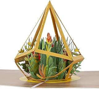 Cardology - Terrarium Pop Up Card | Succulent Plant 3D Card, Birthday Card, New Home Card, Housewarming Gift, Thank You Card | Hand Assembled