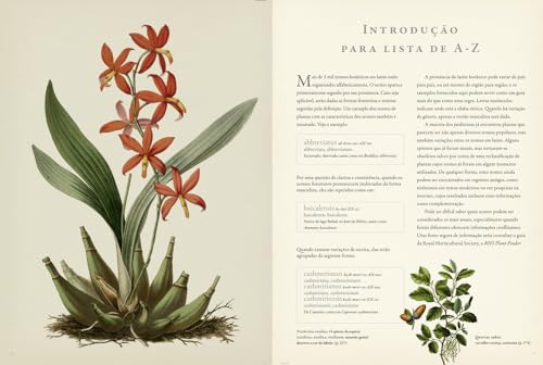 Latim para Jardinistas