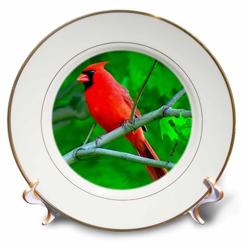 3dRose LLC Red Cardinal 8-Inch Porcelain Plate