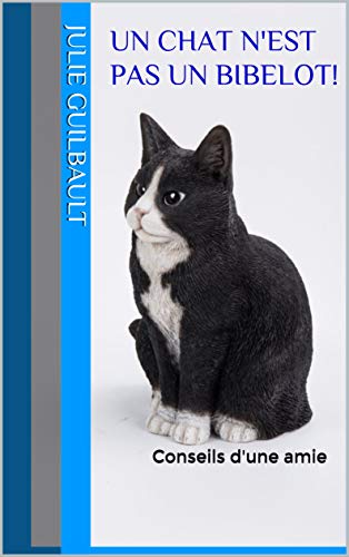 Un Chat N Est Pas Un Bibelot Conseils D Une Amie French Edition Kindle Edition By Guilbault Julie Crafts Hobbies Home Kindle Ebooks Amazon Com