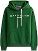 Tommy Hilfiger Sudadera con capucha de forro polar con logo bordado para hombre, DpEvergreen, XL 2