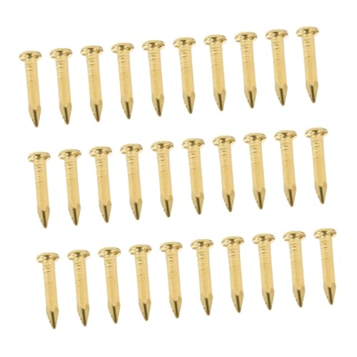 NULYLU 100pcs Brass Nails Furniture Copper Nails Home Copper Nail Furniture Nail Hardwares Accessories Copper Picture Nail Pictures Hanging Metal Nails Home Metal Nails Fastening Nail