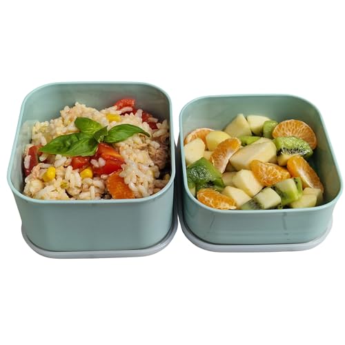 CHICHOUSE Juego de 2 recipientes de plástico fuerte con tapa (700 ml y 500 ml), para cocina, congelador, microondas, lavavajillas, fiambrera, fiambrera, fiambrera, fiambrera, reutilizable, color verde