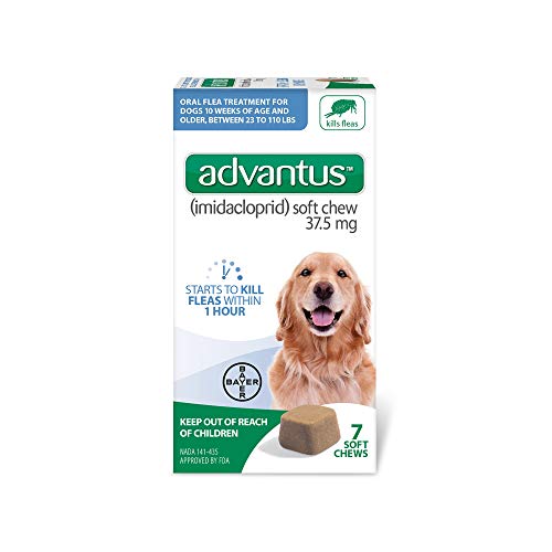 non prescription flea and tick pills for dogs
