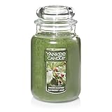 Yankee Candle Snow Dusted Bayberry Leaf Scented, Classic 22oz Large...