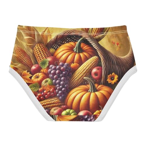 Toddler Underwear Floral 2t Cotton Cute Panties Girl Durable Briefs Undies Kids Autumn Fall Harvest Fruits2