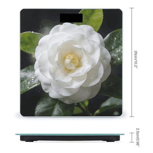 Báscula de baño digital con pantalla LCD y base antideslizante miniatura 2