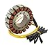 Motorcycle Generator Stator Coil 12V Compatible With Automotive Motorcycle Parts CX500 650 GL500 650 GV1200 MADURA For Part Number 8K1927225B 1G724-97012