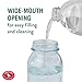 Perky-Pet Mason Jar Vintage Style Glass Hummingbird Feeder 785-1SR - Humming Bird Feeders for Outdoor Garden Decor - 32 Oz Nectar Capacity