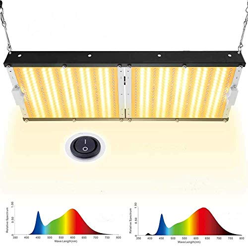 Carambola 2000W LED Grow Light 4x2 ft Sunlike Full Spectrum IR Commercial Grow Lights for Indoor Hydroponic Plants Veg Bloom 576pcs LEDs Waterproof Hightest Efficiency CBG2000