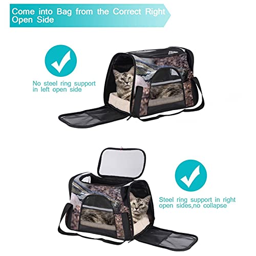 Sac de transport pour animal approuvé compagnies aériennes motif python - 6