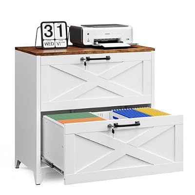Letaya 2 Drawer File Cabinet with Lock and Feet,Metal Lateral Filing Cabinet for Home Office,Hanging Letter/Legal/A4 Size (White-A, 16" D x 28.4" W x 29.1" H)