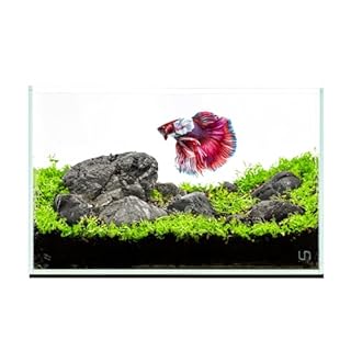 Ultum Nature Systems Ultra Clear Rimless Nano Aquarium - Low Iron Glass Fish Tank with 45° Mitered Edges, 5mm-12mm Thick, Leveling Mat Included (5N, 5 Gallon)