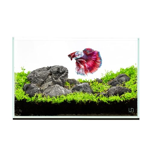 Ultum Nature Systems Ultra Clear Rimless Nano Aquarium