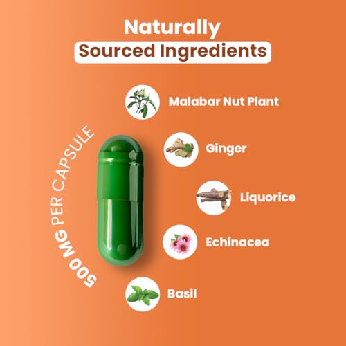 ZeroHarm Lung Support – Herbal Blend with Echinacea, Ginger & Basil – Respiratory, Breathing & Immune Health – Liposomal Absorption – Powered by Real Food Ingredients – 60 Vegan Capsules - Image 2