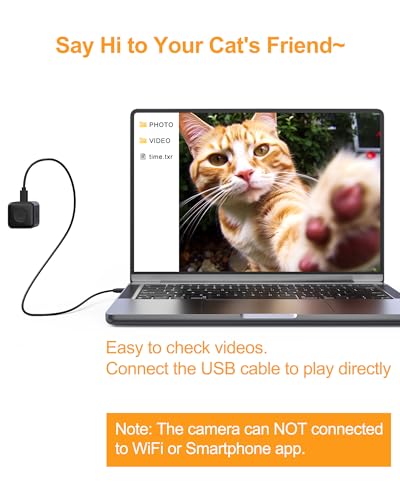 Image of Cat Camera Collar- XS Size Pet Collar Camera-Cat POV Cam,No WiFi No APP Needed, 1080P Video Recording