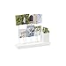 Umbra Gala Photo Display, Multi Gallery for 7 Images Plus Planter/Pen Holder, Desk Picture Frame, White, 12.2 x 8.4 x 3