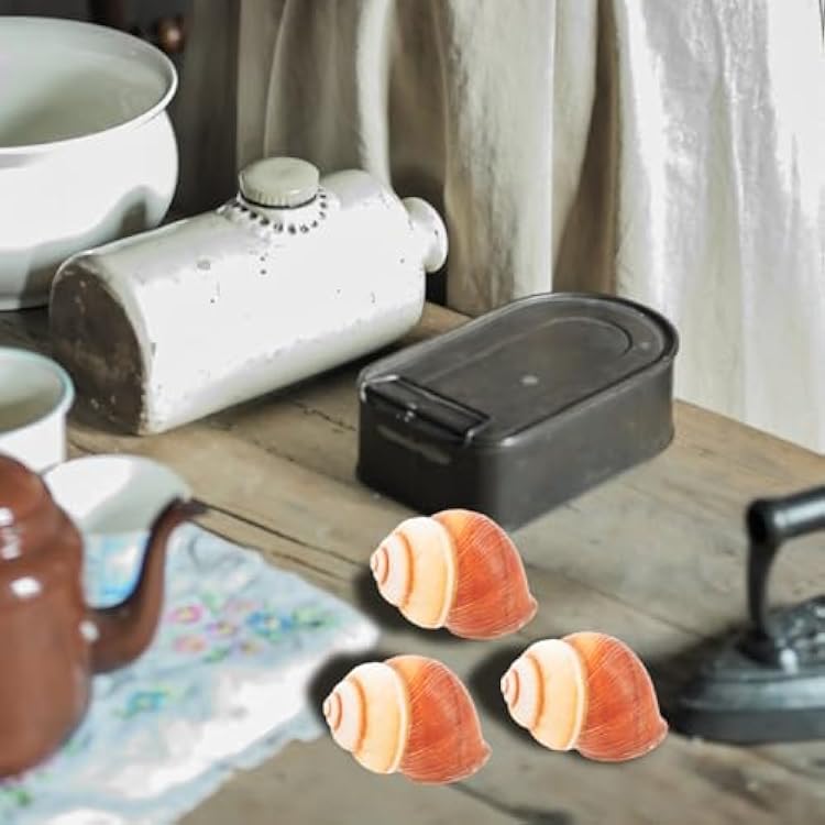 Alipis Natural Snail Shells for Escargot Cooking 5 Pcs Heat Insulation Baking Shells Safe for Oven Microwave Dishwasher Use Restaurant Escargot Snail Shells