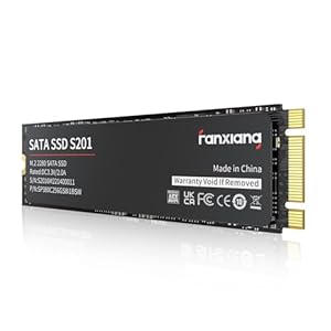 fanxiang S201 M.2 SATA SSD Interne Festplatte M.2 2280 SATA III, 550MB/s Lesen, 420MB/s Schreiben, mit SLC Cache und TLC 3D-NAND, ideal für Notebook, Ultrabook und Tragbare Geräte (128GB)