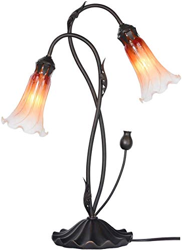 Bieye L30698 Lampe de table en verre soufflé style Tiffany avec abat-jour en verre de 10,2 cm de large pour chevet, salon, chambre à coucher, 2 lumières, orange Cover