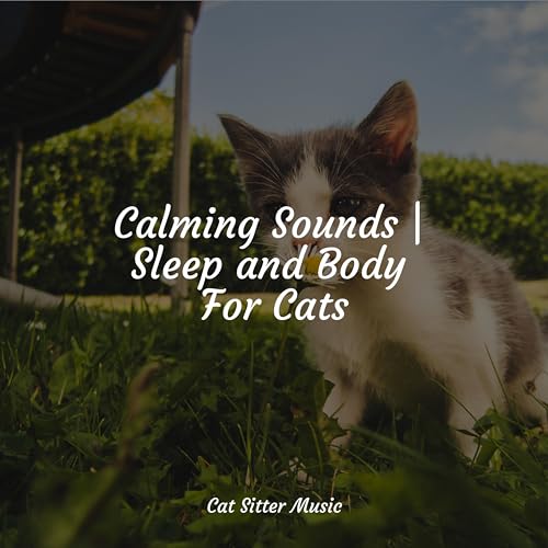 Calming Sounds Sleep and Body For Cats by Calm Music for Cats on