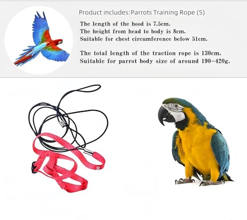 Vogel Leine, Anti-Biss-Flugtraining Seil Haustier Traktion im Freien Fit Wellensittich Nymphensittich Mynah Kleiner Vogel (S)