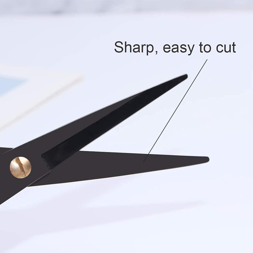 Amazon.co.jp: 透明アクリルハンドルはさみ ステンレススチール