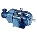 Leeson Electric, 810007.00, 20HP, 1770RPM, 3PH, 230V;460V, 256TC Frame, C-Face Flange, Foot Mount, TENV, Inverter Duty Motor