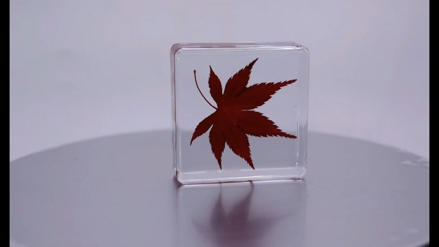 Image of 1.5 inch Real Red Japanese Maple Leaf in Crystal Clear Lucite Resin Specimen Dried Pressed Botanist Herb Herbarium Crafts Collection for Botany Science Education & Desk Ornament Display Supplies