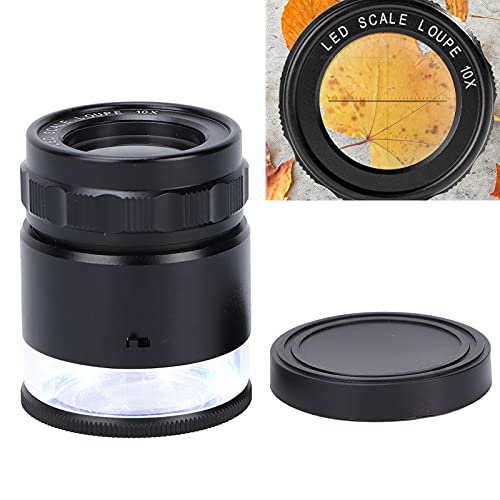 6 LED Measuring Magnifier,10X Loupe Measuring Magnifier Illuminated Jewelers Magnifying Glass USB Charging Magnifier for Jewelry Currency Stamps Textile Sewing Circuit