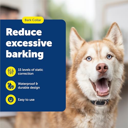 PetSafe Bark Collar - image 2